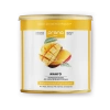 Коктейль PRANA food манго, банка 300 гр.